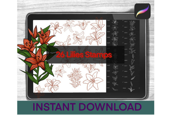 Download Lily Brushes Procreate Stamps - Stamp Collection