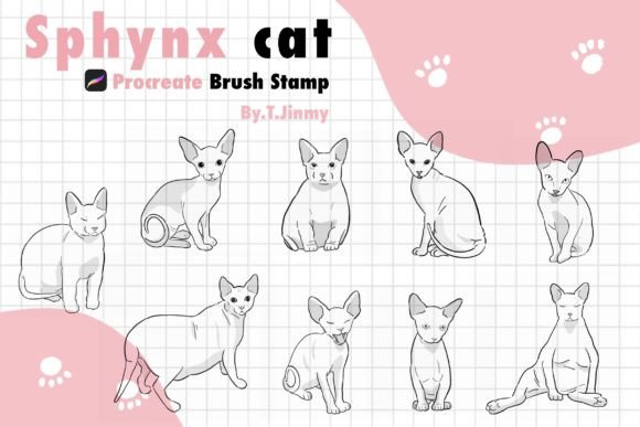 Download Sphynx Cat Brush Stamp - Stamp Collection