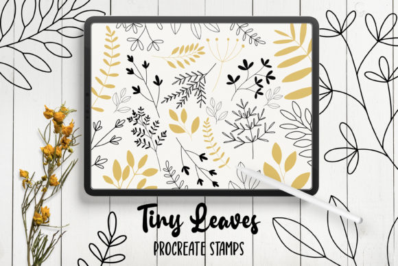 Download Hand Drawn Leaves Procreate Stamps - Stamp Collection