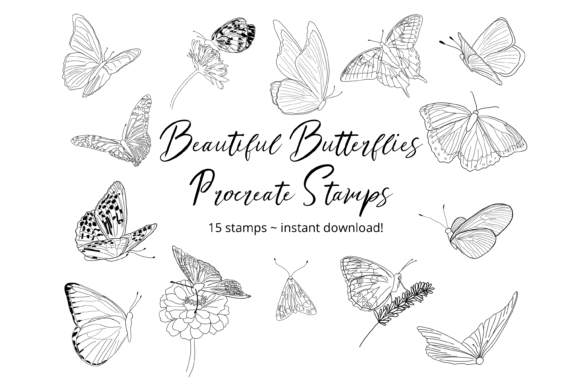 Download Butterflies Procreate Stamp Brushes - Stamp Collection