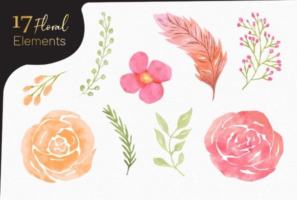 Download Watercolor Floral Elements - Floral Collection