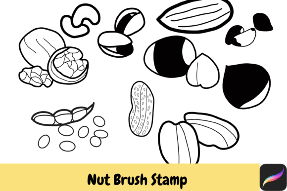Download Nut Grain Procreate Brush Stamps IPAD - Stamp Collection